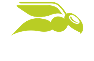 Hornetsecurity by Proofpoint